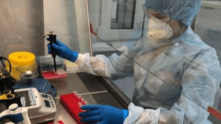 Результат за 2 часа: в Красноярск завезли новые тесты на коронавирус