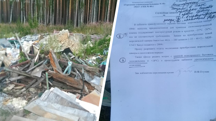 Прокуратура выяснит, кто выбросил в лесу медицинские документы с печатями больницы № 40