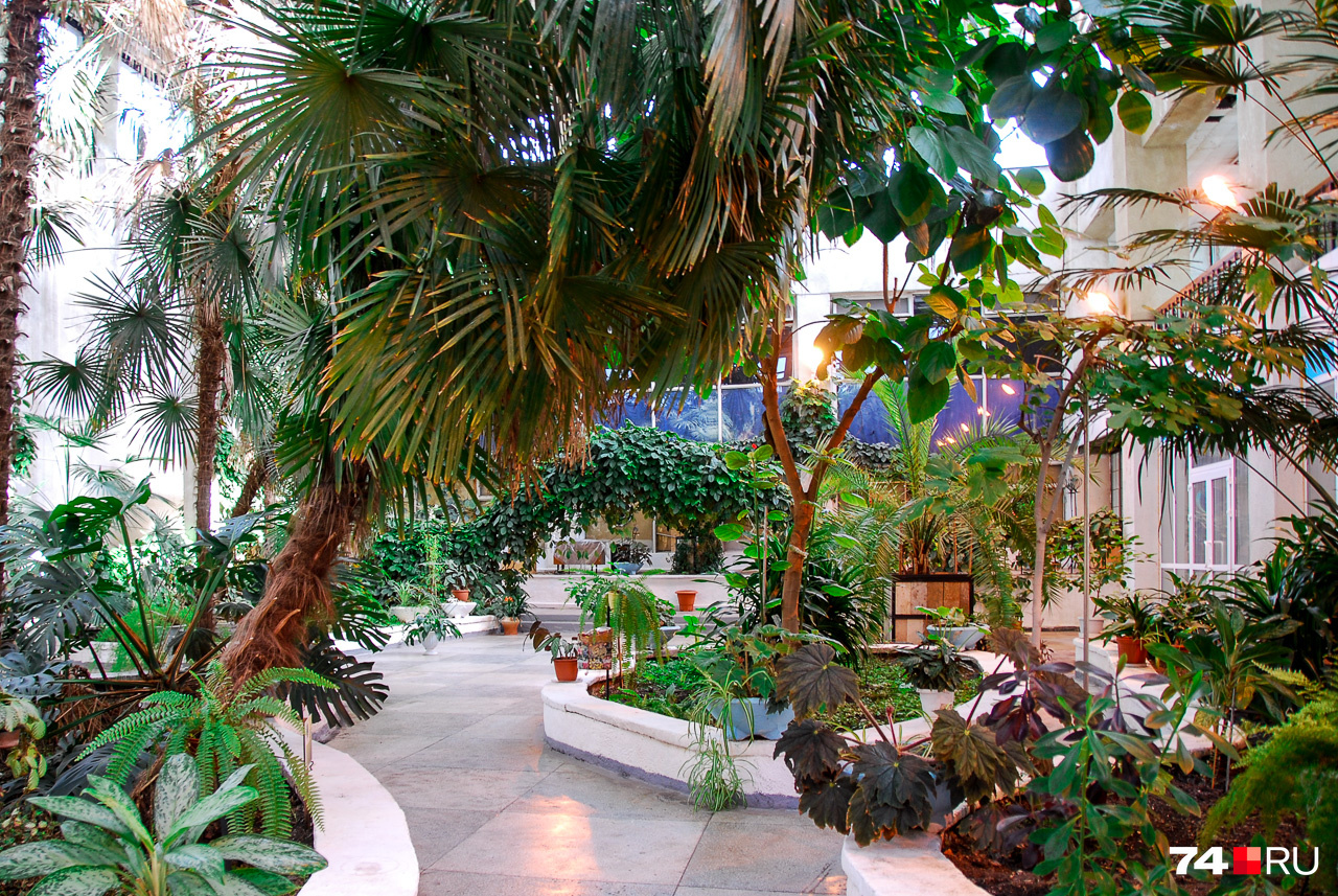 Внутри растут пальмы — в большом фойе рядом с загсом устроили симпатичный зимний сад