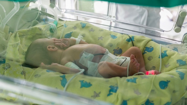 Завернули в пакет: СК проводит проверку по факту смерти новорожденного
