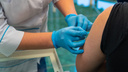 Когда в Пермь поступит «КовиВак» — новая вакцина от коронавируса? Отвечают в краевом Минздраве