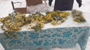 В Новосибирске начали продавать абхазские мимозы — торговцы расставили прилавки прямо в центре города