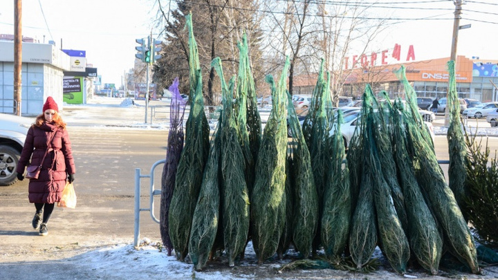 Чиновники утвердили места для продажи елок в Челябинске (в этом году точек значительно меньше)