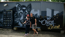«Украсили унылые стены»: в Ярославле уличные художники расписали приют для животных
