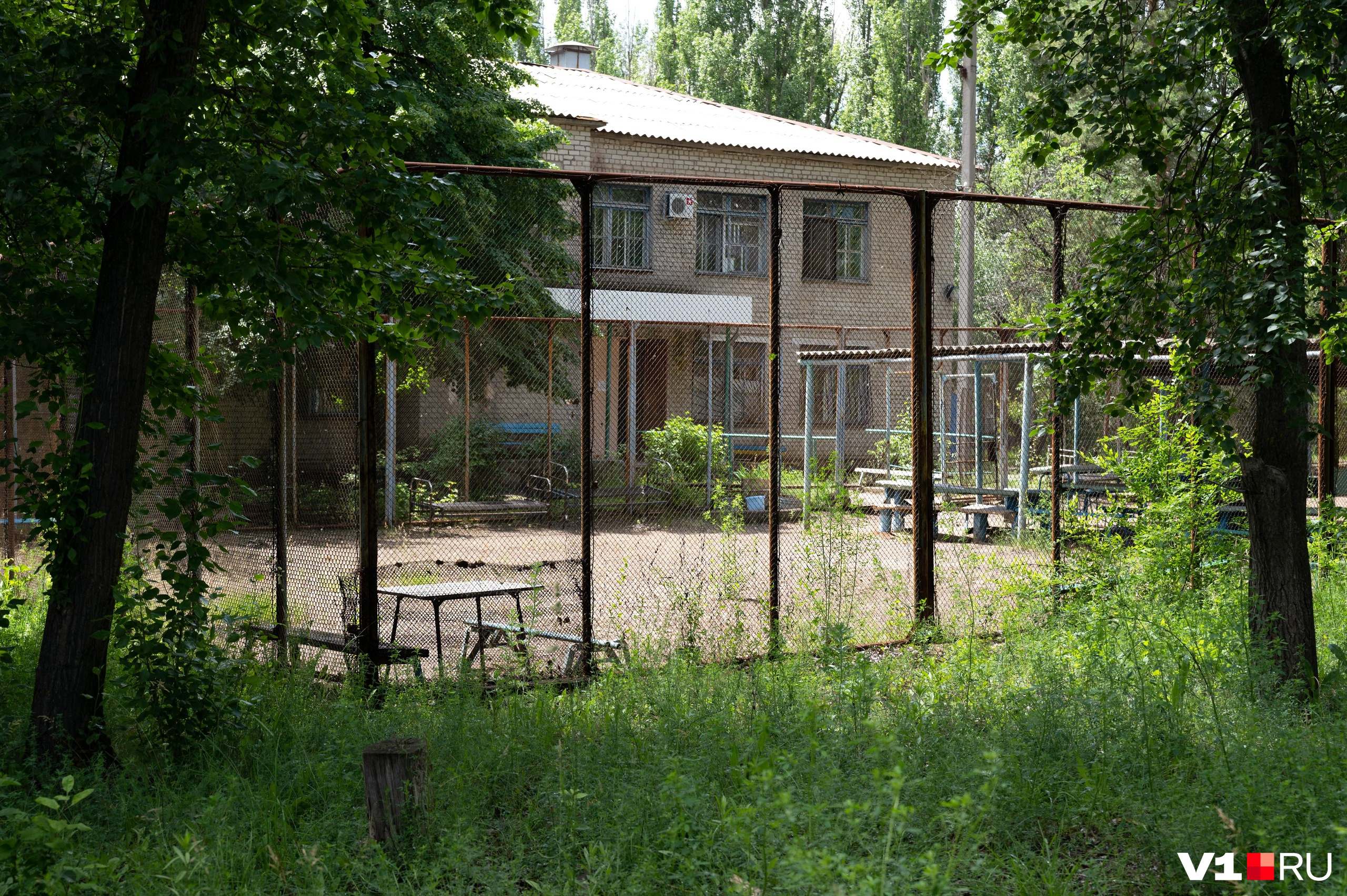 Госпиталь волгоград. Госпиталь Волгоград 1980ул Арсеньева.