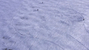200 тысяч шагов по снегу: смотрим видео, как в Архангельской области вытоптали огромного оленя