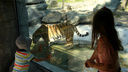 Наскучались: сегодня заработал новосибирский зоопарк — смотрим, как звери реагируют на вернувшихся людей