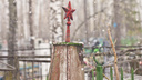 Площади четырех кладбищ Новосибирска собираются увеличить — «Инское» уже заполнено