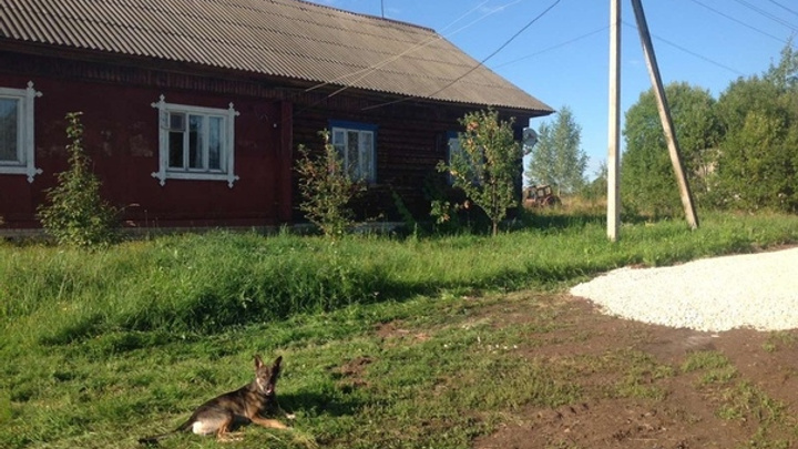 Нижегородский СК начал проверку из-за отказа коммунальщиков проложить дорогу к дому бабушки-ветерана