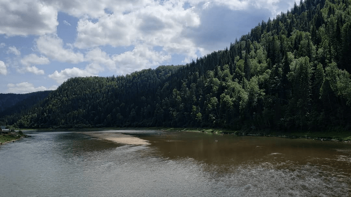 Власти прокомментировали помутнение рек в Кузбассе из-за золотодобытчиков