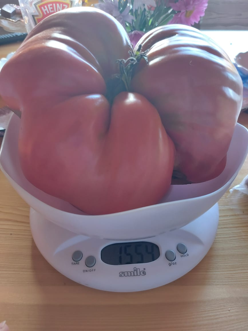 По словам читателя, помидор был очень вкусным По словам читателя, помидор был очень вкусным