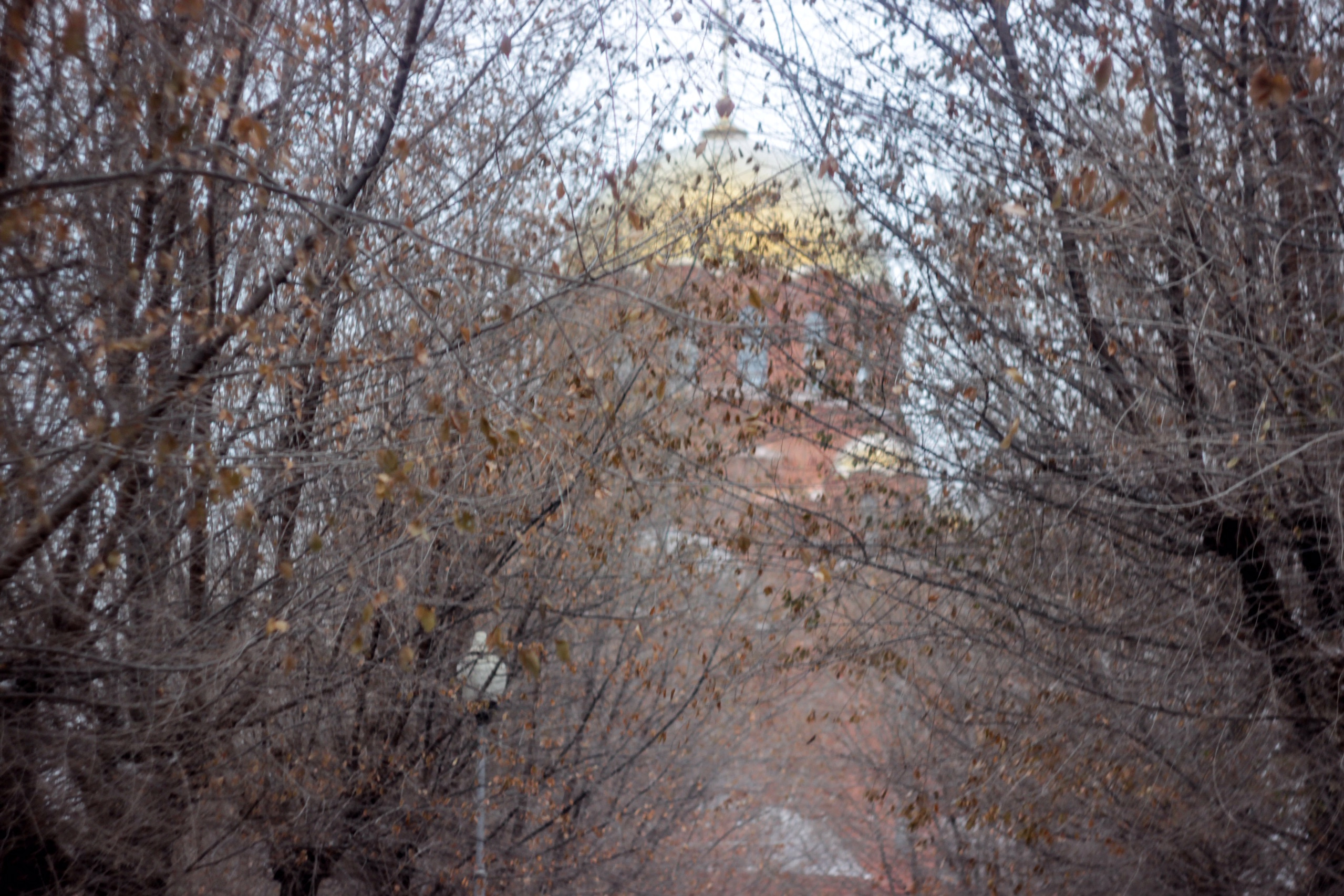 Купола собора Александра Невского блестят даже при тучах на небе