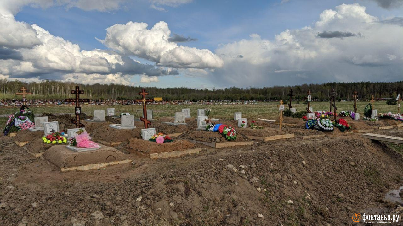 Новое кладбище в Колпино, май 2020 года<br><br>автор фото Павел Каравашкин / «Фонтанка.ру»<br>