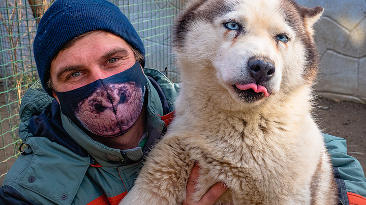 Работники «Роева ручья» сфотографировались с животными, чтобы призвать красноярцев носить маски