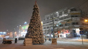В Новосибирске возле Центрального рынка поставили первую новогоднюю елку