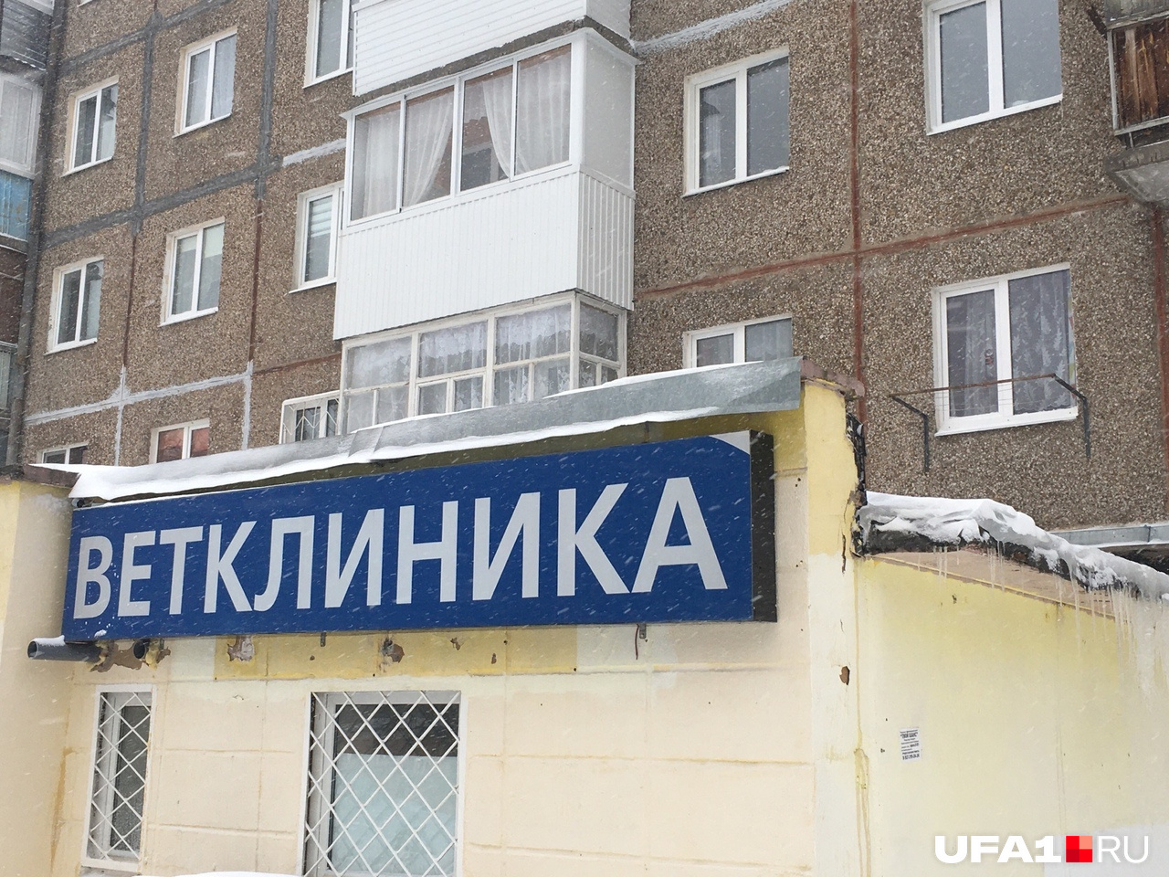 Ветклиники не занимаются кремацией, они лишь предоставляют услугу Ветклиники не занимаются кремацией, они лишь предоставляют услугу
