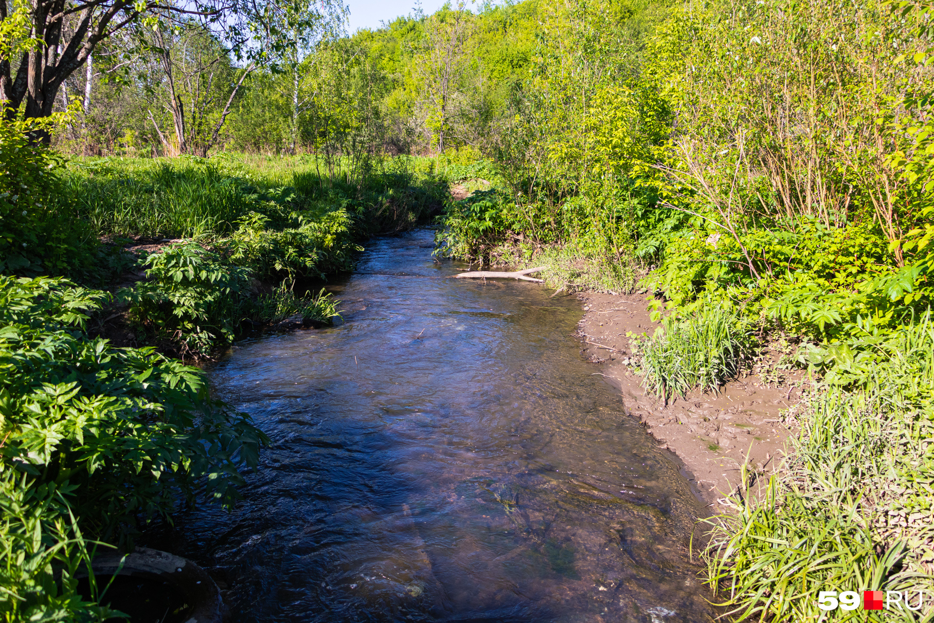 Речку, протекающую по территории микрорайона, тоже называют Зеленкой. Это приток Егошихи