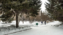 Названы новосибирские парки, которые благоустроят в этом году. Публикуем список и показываем фото