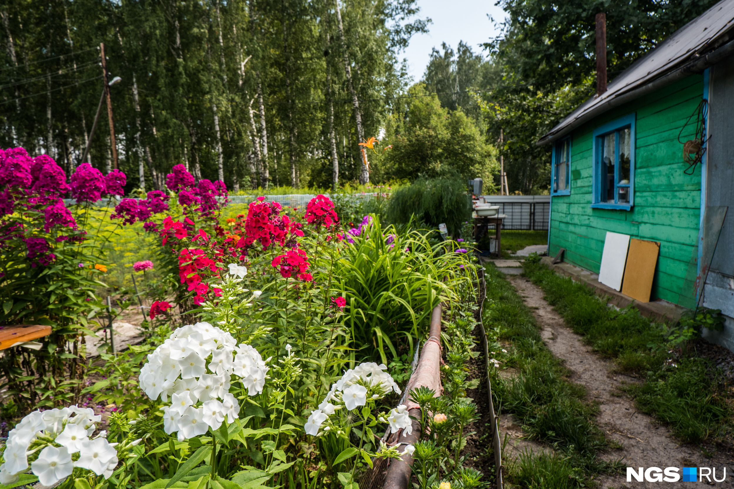 Среди кемеровчан за последний год спрос на благоустройство садовых участков вырос на 25%