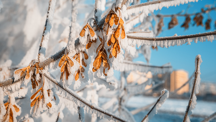 Морозы остаются: синоптики Кузбасса дали прогноз погоды на понедельник