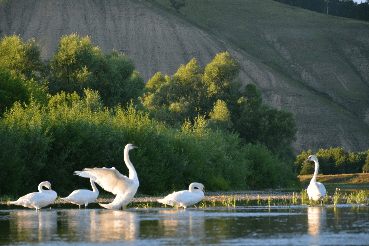 салаватский район фото