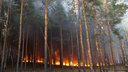 Площадь пожара в Тарасовском районе увеличилась до 1200 гектаров