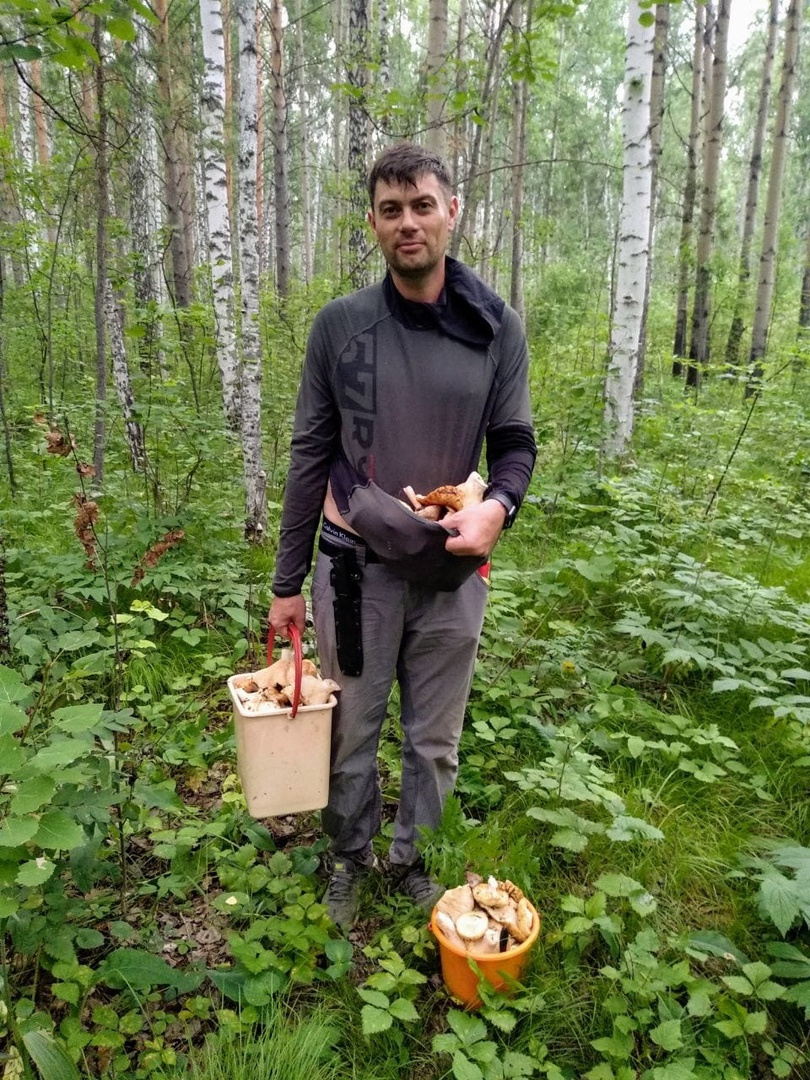 В лесах под Железногорском можно найти разные грибы. Часто принесенной тары не хватает, и в ход идет одежда