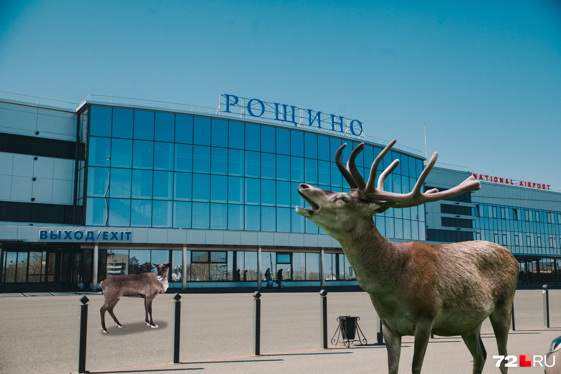 Набережные челны хабаровск. Животные в городе. Павильон Дикие звери. Как выглядит Тюменский зооооооооооооооооопарк.