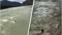 Появилось видео трагического заплыва новосибирской туристки в Катуни