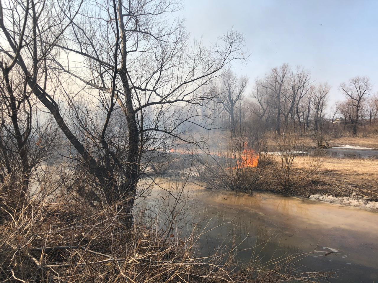 Пожароопасный сезон в Омской области ещё не наступил, а пожарным уже 160 раз приходилось тушить горящую траву