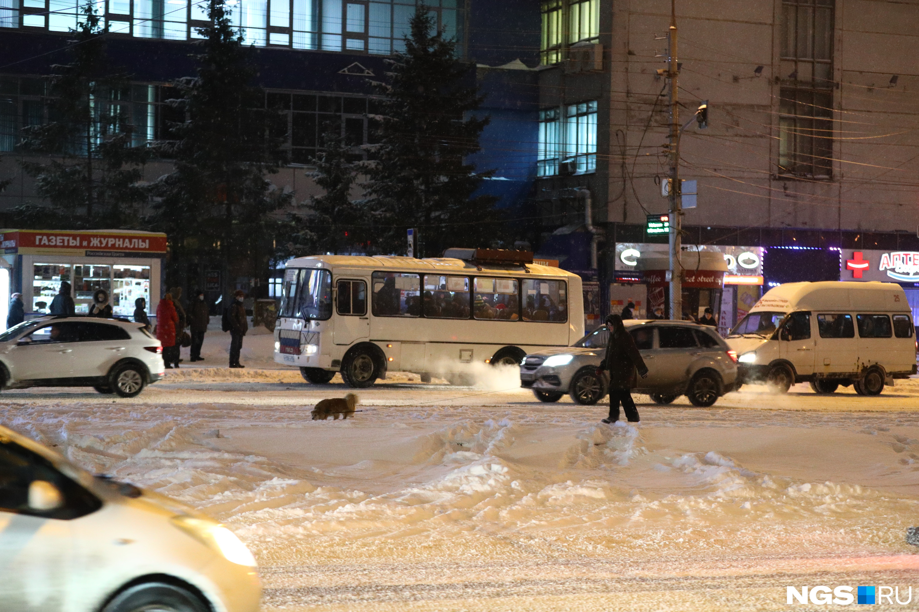 Новосибирск снег. 24 Декабря дрсуоткроют