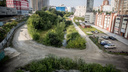 В Новосибирске хотят сделать новый парк — он сможет конкурировать с Михайловской набережной
