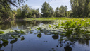 В Волгоградской области уникальное озеро и пойму хотят сделать Меккой для туристов