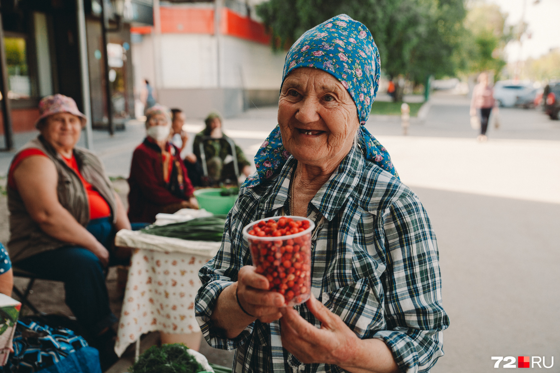 81-летняя Капитолина Павловна собирает землянику в лесах Комарово. Женщина говорит, что длительная жара и солнцепек плохо влияют на ягоды и грибы. В такую погоду большая вероятность, что они просто высохнут, а вот дожди и влага обещают, что лесной урожай будет богатым 