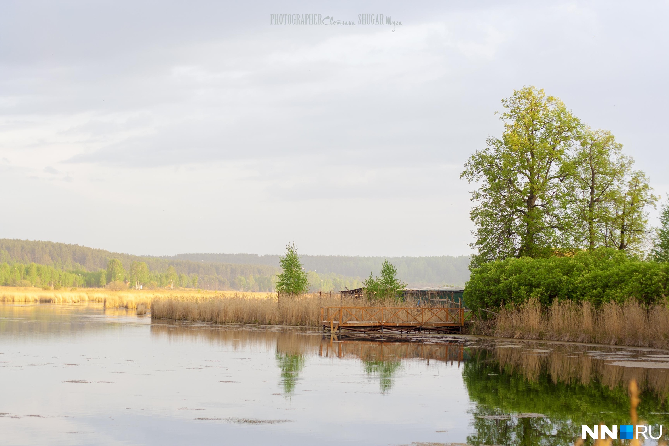 Озера в Нижегородской области для купания