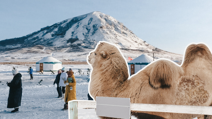 Верблюд, ледяная пещера и Дед Мороз: рассказываем, где под Уфой отдохнуть за 100 рублей