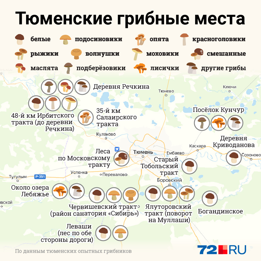 Мы обновили грибную карту и внесли туда еще три новых места. Пользуйтесь! Мы обновили грибную карту и внесли туда еще три новых места. Пользуйтесь!