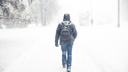 В Новосибирске сохранится пасмурная и снежная погода — изучаем прогноз на ближайшую неделю