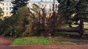 Ураган разнёс Металлургический район Челябинска. Вырванные с корнем деревья и посёлки без света