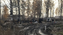 Суд отправил под стражу родителей погибших в пожаре под Новосибирском детей
