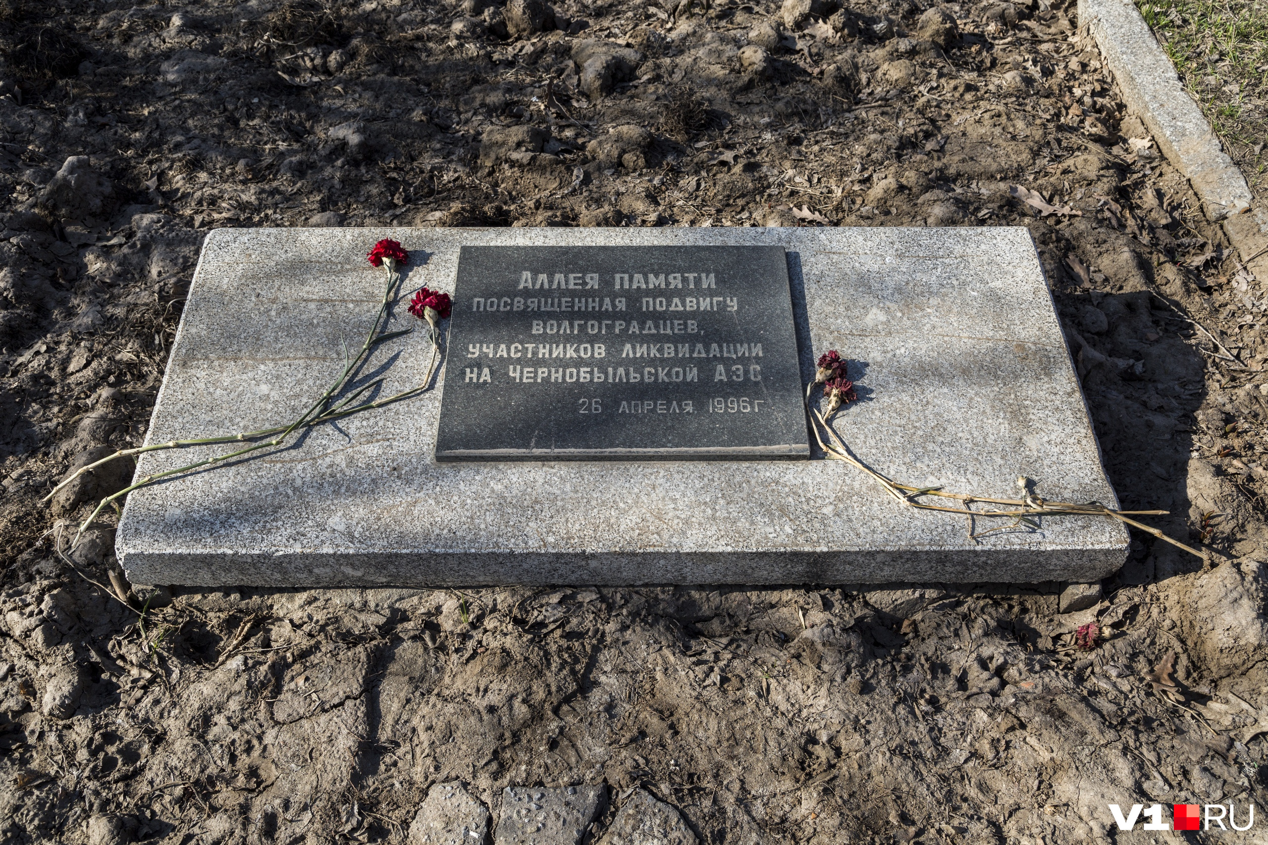 В 1996 году в сквере заложили аллею в память подвига ликвидаторов Чернобыльской аварии