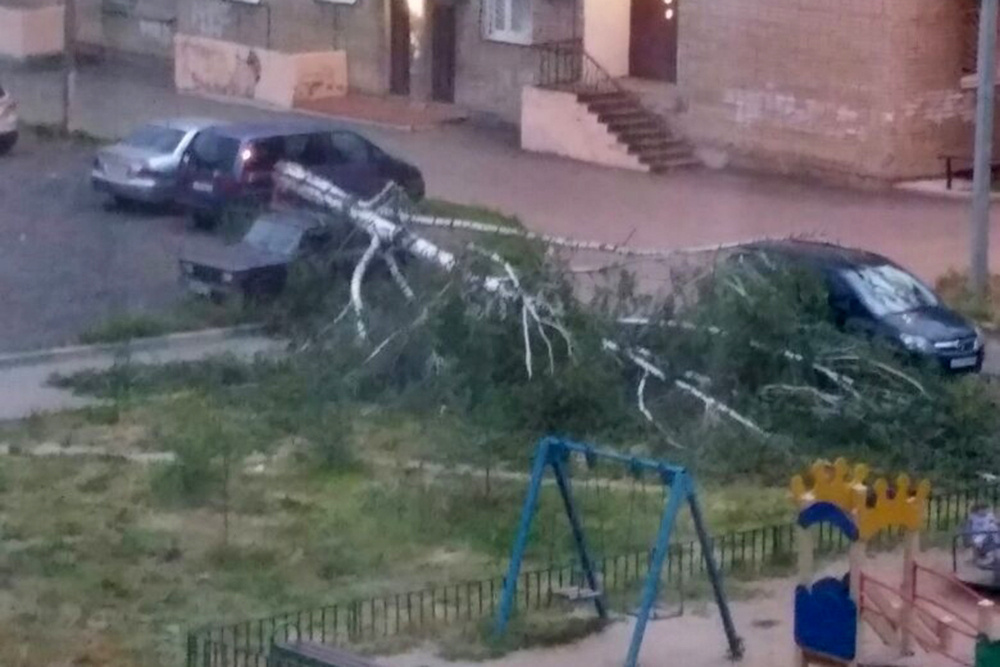 Дерево упало на припаркованный во дворе автомобиль Дерево упало на припаркованный во дворе автомобиль