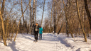 Город утонет: на смену внезапным морозам в Новосибирск идет резкое потепление