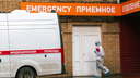 В Самарской области разбушевался вирус, вызывающий боли в суставах