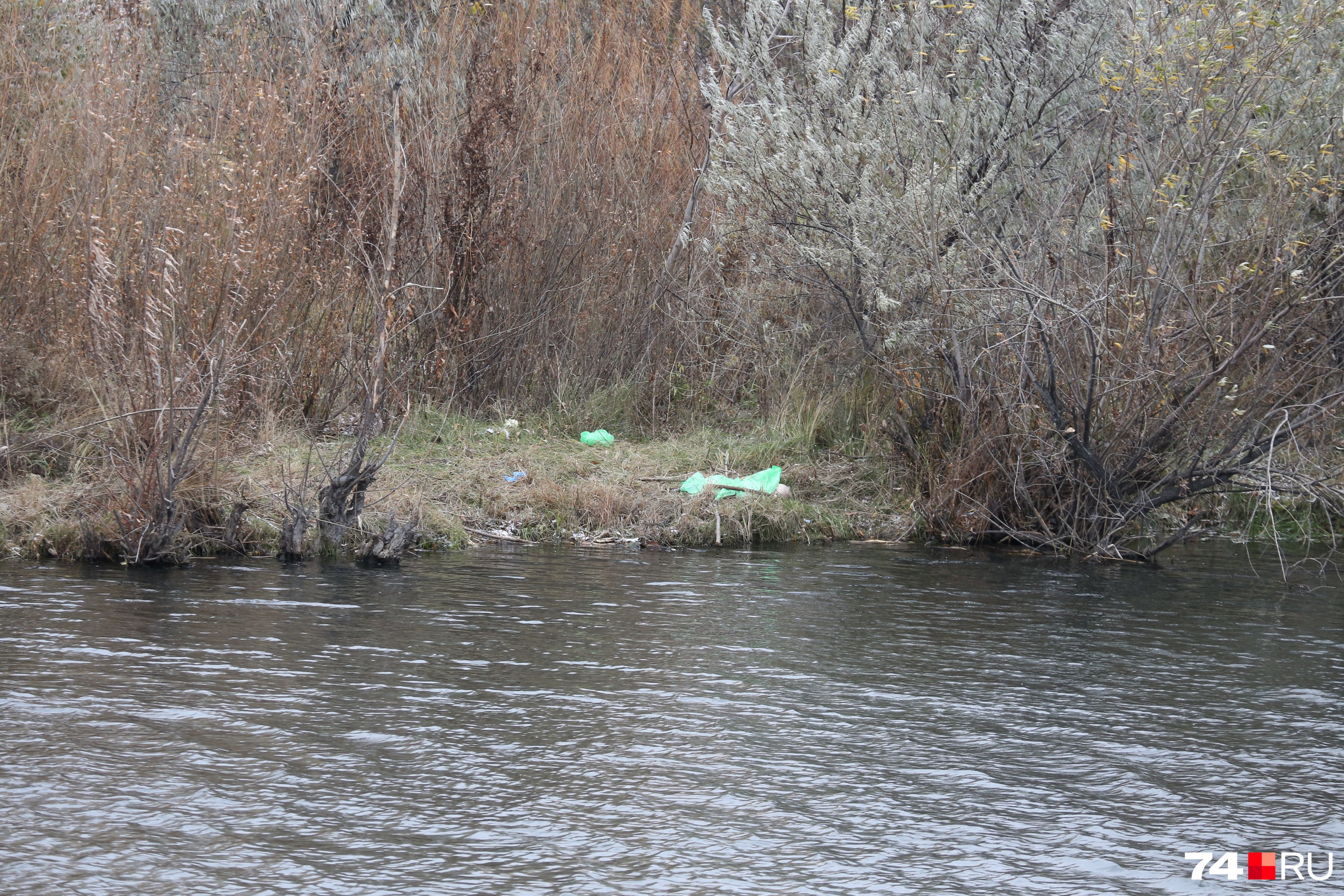 какая рыба водится в реке миасс в челябинске