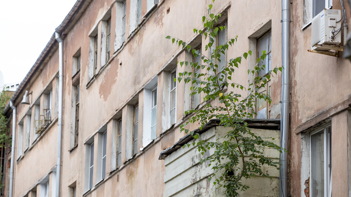 Даже на крыше мэра: в Ярославле на жилых домах выросли деревья