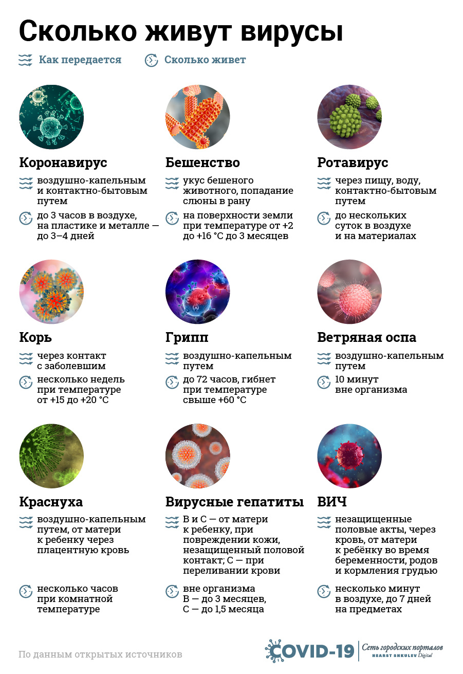 Некоторые вирусы живучее коронавируса, да и встречаются почаще Некоторые вирусы живучее коронавируса, да и встречаются почаще