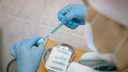 В Новосибирске начнут клинические испытания на добровольцах третьей российской вакцины против ковида