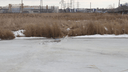 В Кургане пожилой мужчина провалился под лёд на реке Чёрной