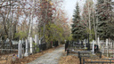 Курганцев просят не ходить на кладбища: городские погосты будут обрабатывать от клещей